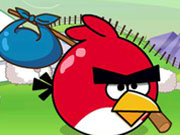 Online game Angry Bird Journey