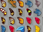Butterflykyodai Butterflykyodai