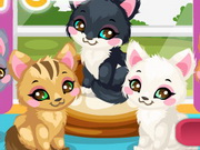 Online game Kitty Care 2