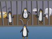 Online game Zoo Escape